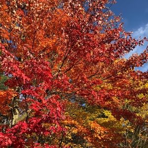 Meet your Posher, Madigan